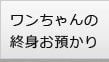 ワンちゃんの終身お預かり