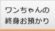 ワンちゃんの終身お預かり