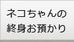 ネコちゃんの終身お預かり