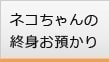 ネコちゃんの終身お預かり