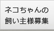 ネコちゃんの飼い主様募集