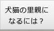 犬猫の里親になるには