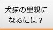 犬猫の里親になるには
